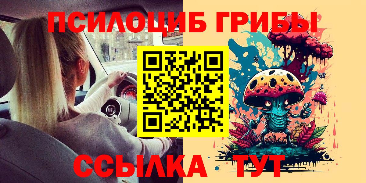 Нововоронеж  Псилоцибиновые грибы прущие грибы  Вход с VPN 